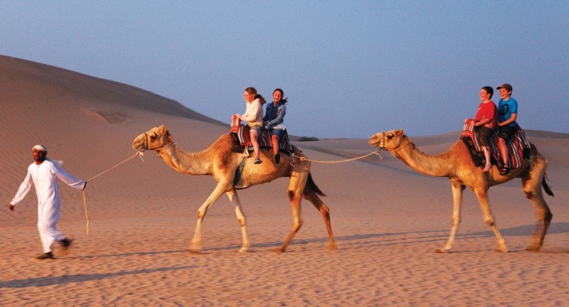 Abu Dhabi camel ride