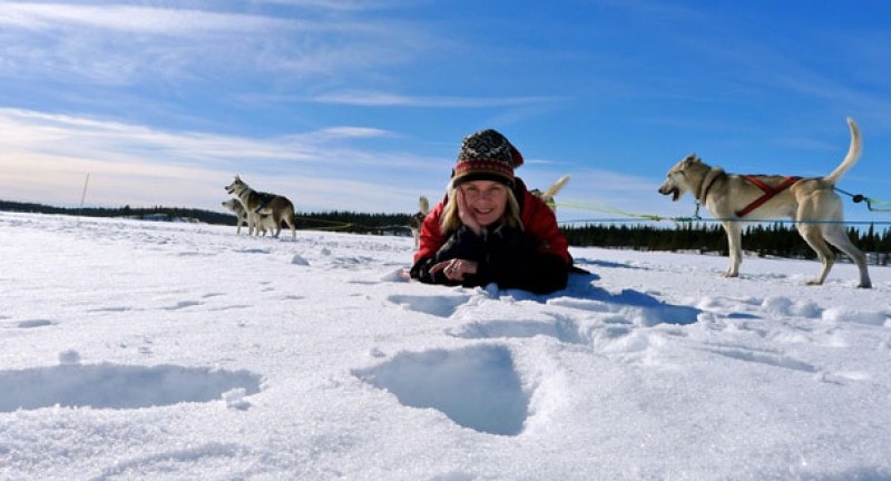 mariella scandinavia husky