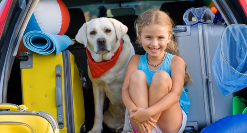 travelling with your pets by ferry