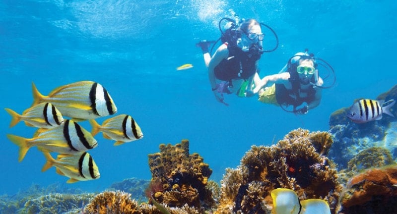 Scuba diving beaches resorts caribbean