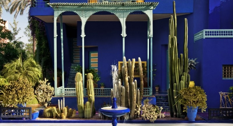 blue building and cactus in marrakech morocco