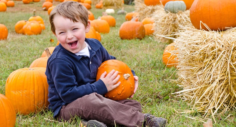 happy-boy-with-pumpkin-halloween