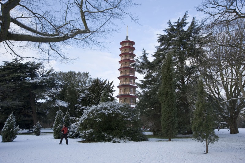 snow kew gardens