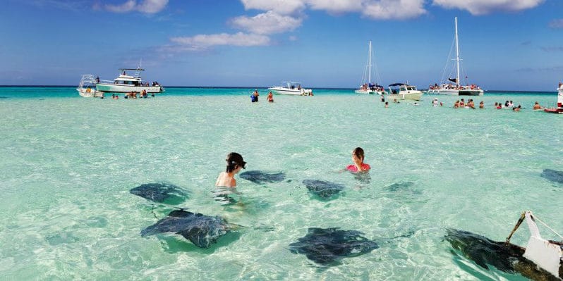 Stingray City, Grand Cayman Island