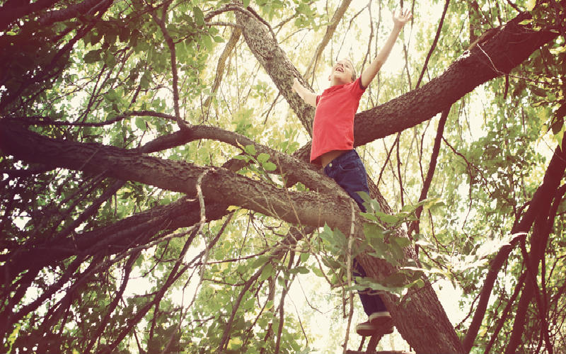 child climbing a tree