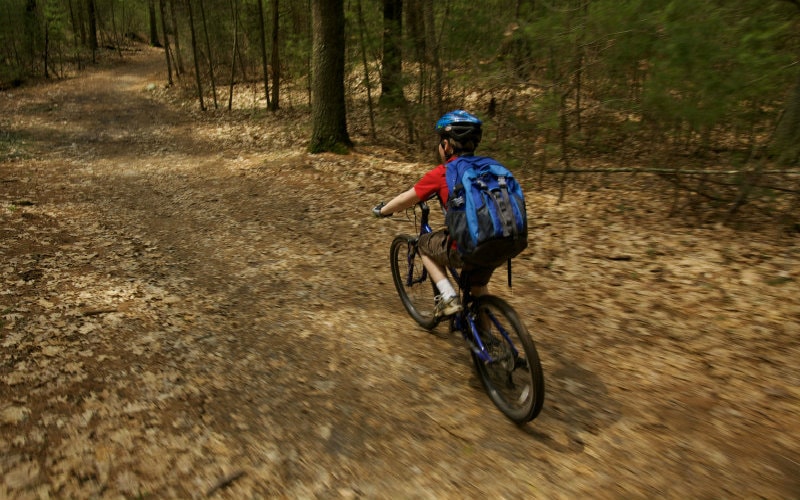 Cycling in Brook Farm State Park
