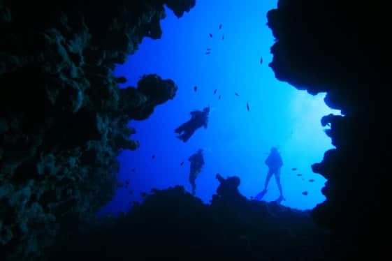 Snorkelling in Iceland