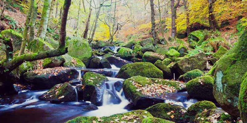 Padley Gorge, Longshaw Estate