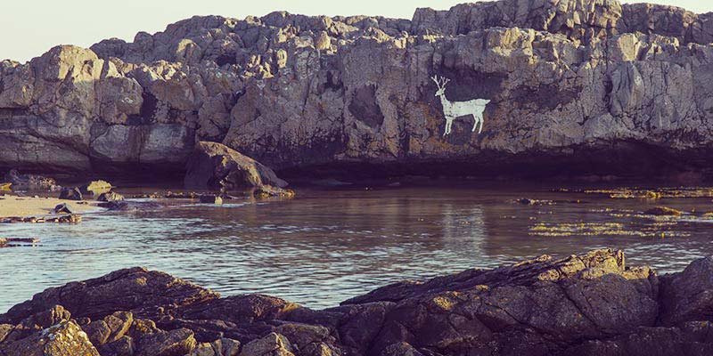 stag-rocks-northumberland-england