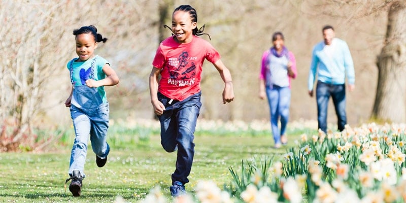 national-trust-cadbury-easter-egg-trails