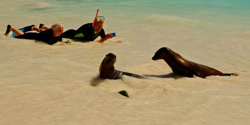 Family-Galapagos