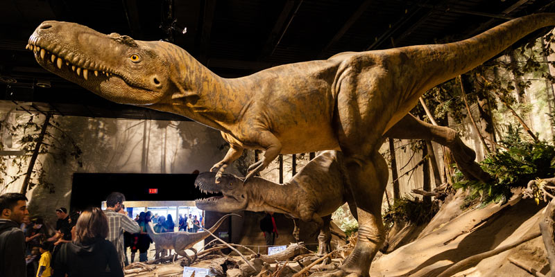 Museum-of-Palaeontology-drumheller-calgary