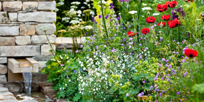 english-country-garden