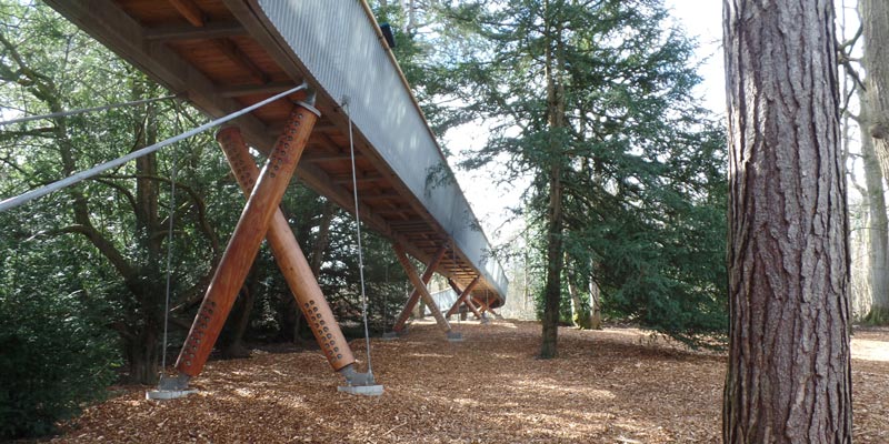 westonbirt-Treetop-Walkway