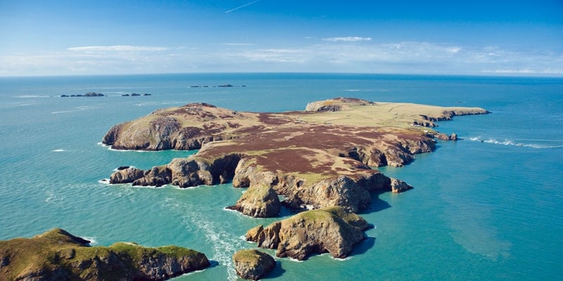 Ramsey Island Wales