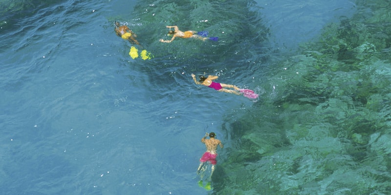 people-diving-in-bermuda
