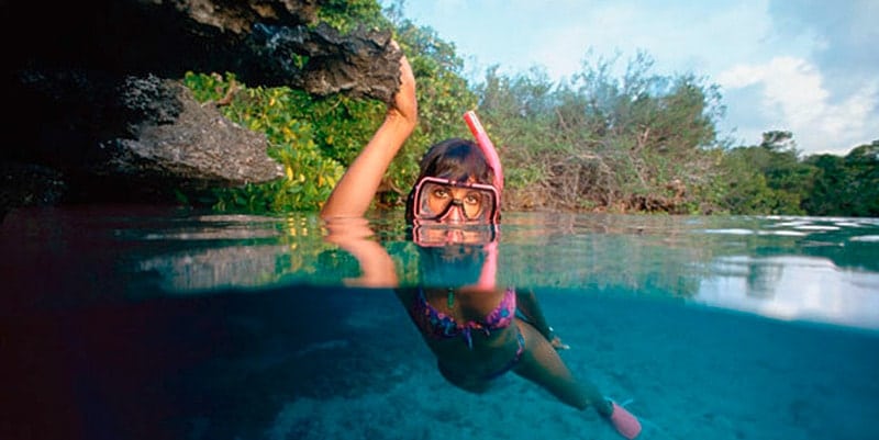 snorkelling-in-mangroves-ephelia-seychelles