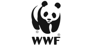 Panda-WWF100