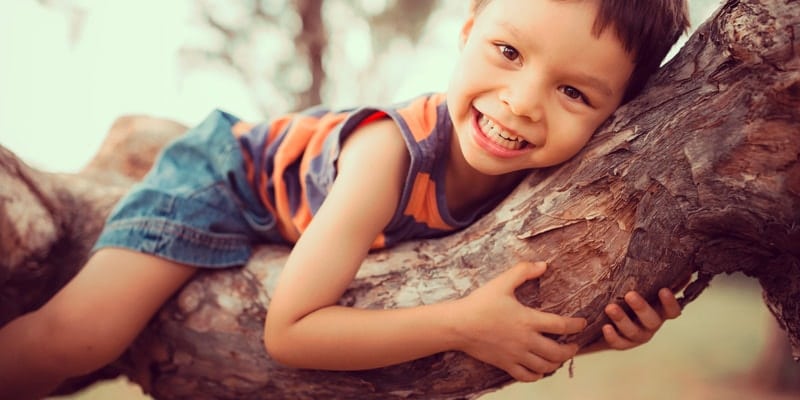 little-boy-in-tree