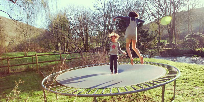 scarlet-and-fin-on-trampolene-devon