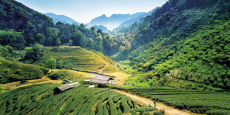 chang-mai-landscape-thailand