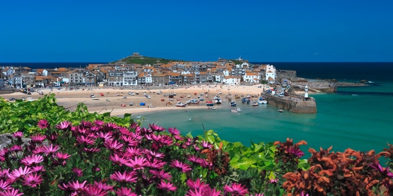 View of St Ives Harbour behind purple flowers
