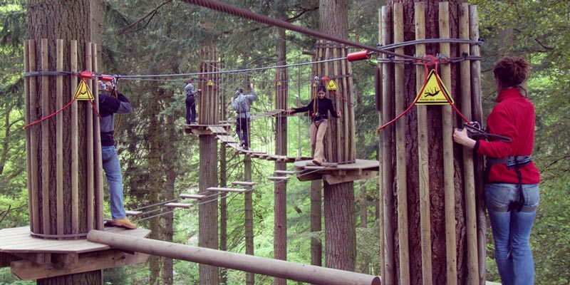 gizedale-forest-go-ape-lake-district