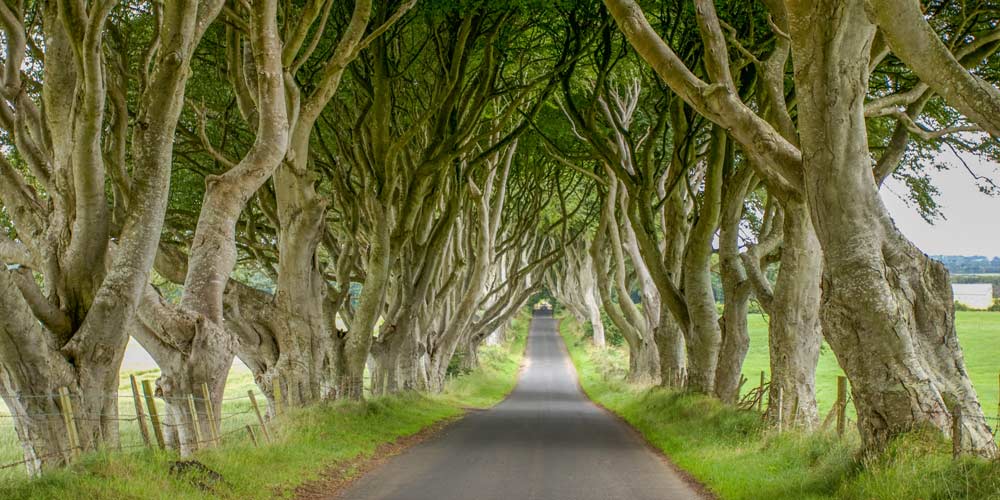 game of thrones tour kingsroad days out in northern ireland