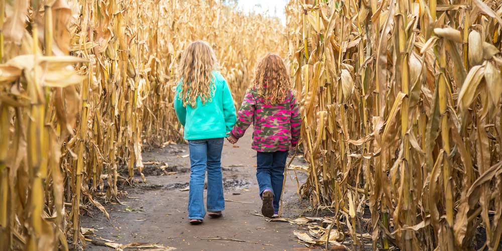 girls in corn maze days out in northern ireland