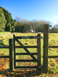 Kernock-Cottages-Central-Bark