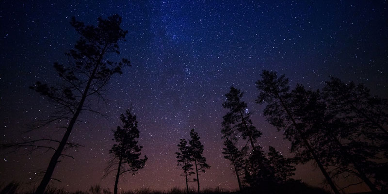 Stargazing-in-the-forest