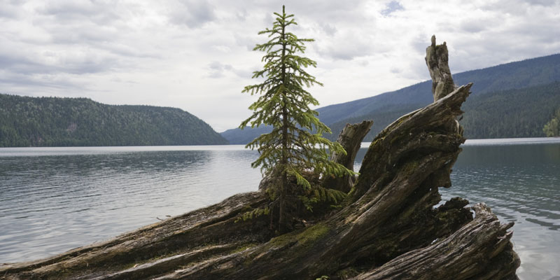 North America wells-gray-provincial-park