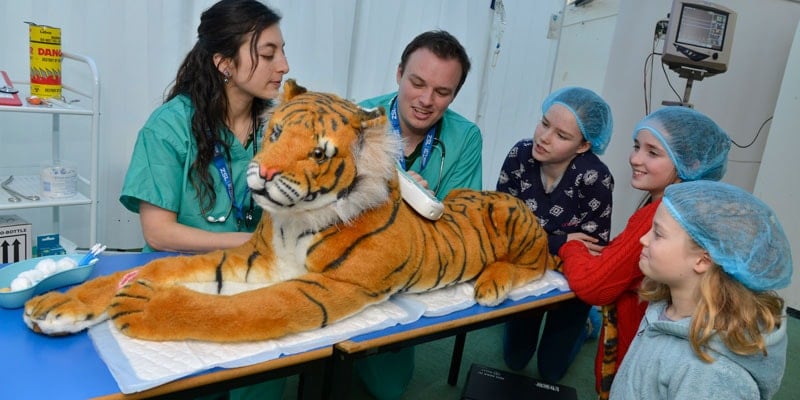 ZSL-LONDON-ZOO-Vets-in-Action