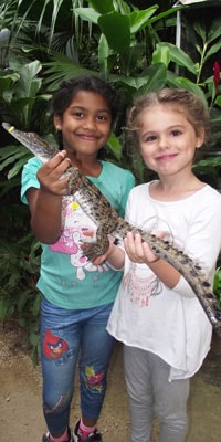 mauritius-kids-holiding-Crocodile-baby