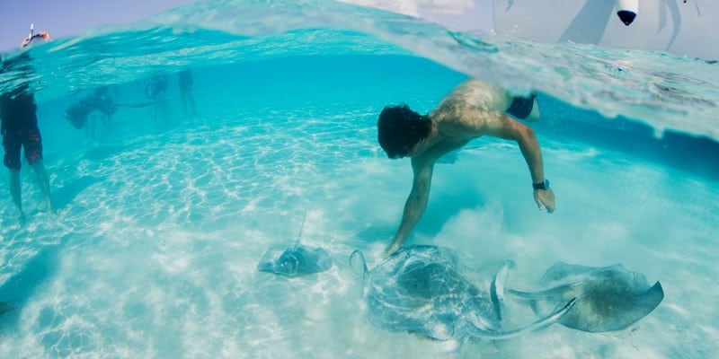 swimming-with-sting-rays-bahamas