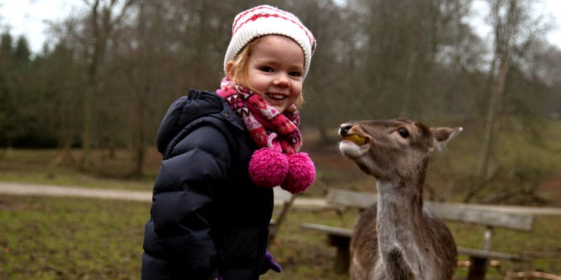 aarhus-Marselisborg_Deer_Park