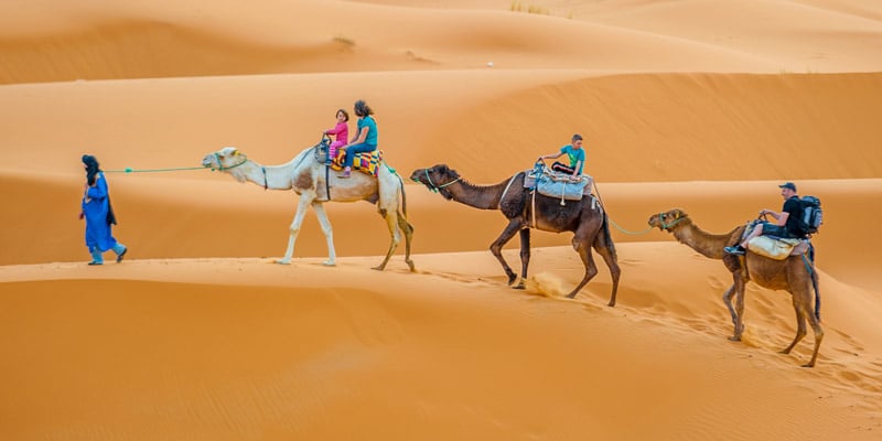 camel-trek-morocco