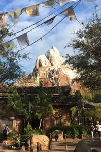 Expedition-Everest-disney-world-florida