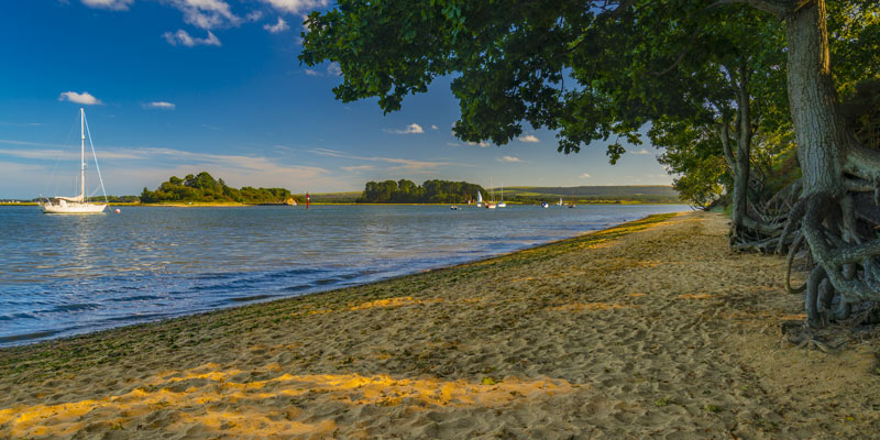 beach-in-poole-with-view-of-brownsea-island-dorset-uk