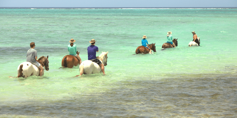 Barkers-beach-cayman-crop