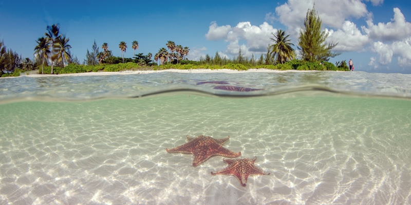 Grand-Cayman-Starfish-Point-Shutterstock