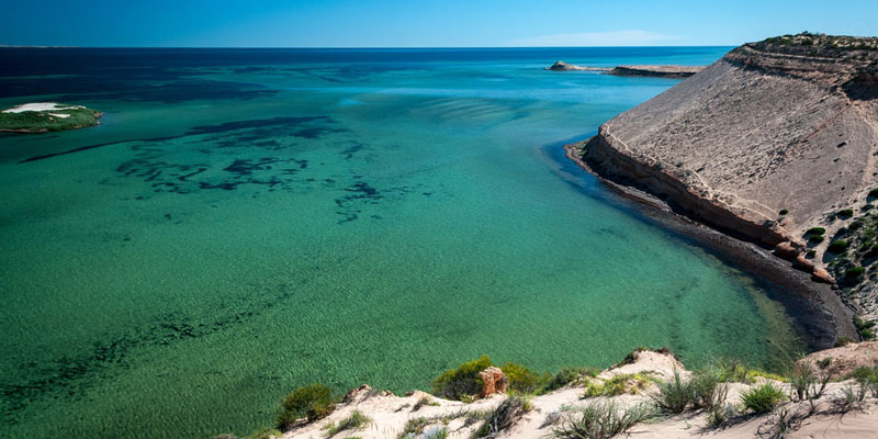 shark-bay-western-australia