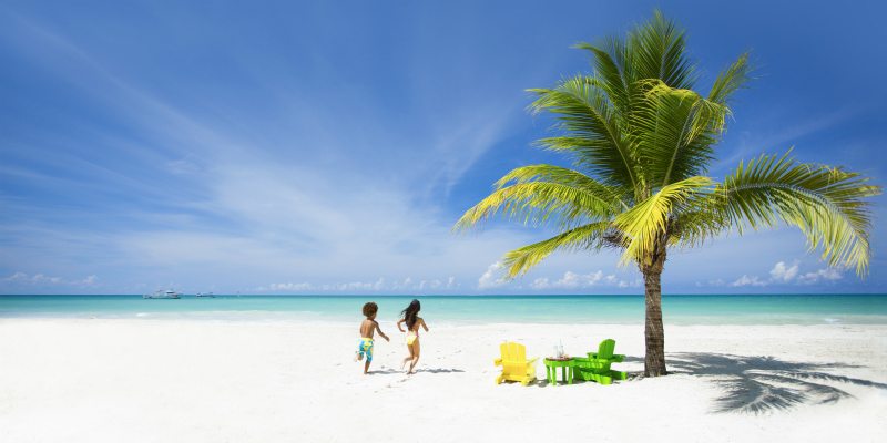 Beaches Negril palm tree