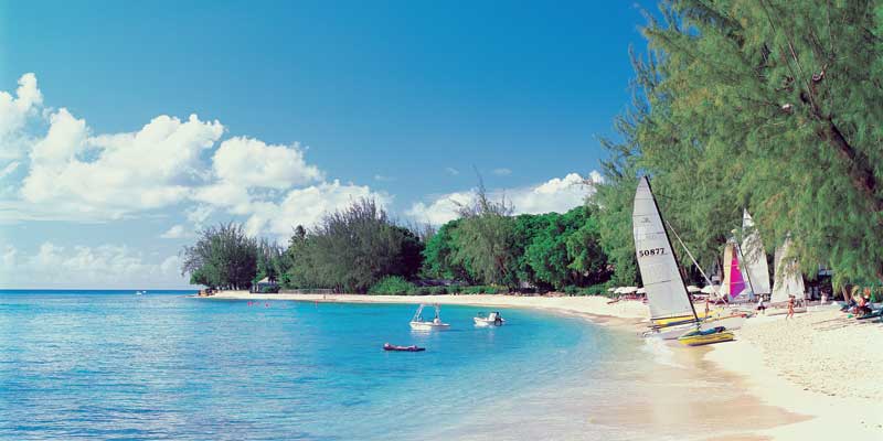 Coral Reef A&K barbados