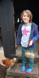 A young boy collects eggs from the hen house at Dandelion Hideaway