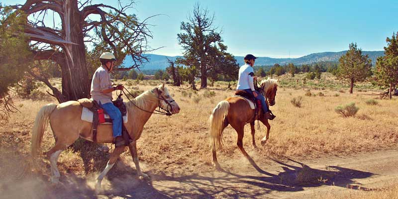 Horse riding in the badlands