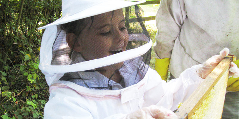A girl in a beekeeping suit holding a honeycomb