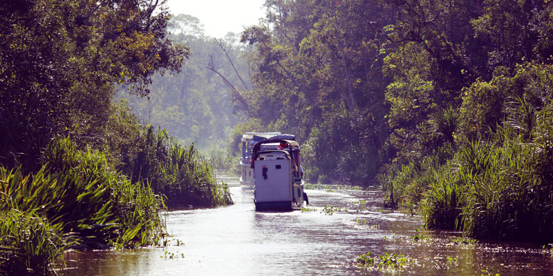 riverboat-wildlife-cruise-tanjing-puting-national-park