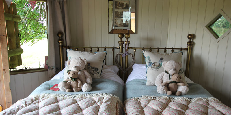 Teddys-relaxing-in-Buebell's-Nest