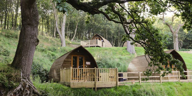 Wigwam-Holidays' insulated timber cabins in the woods